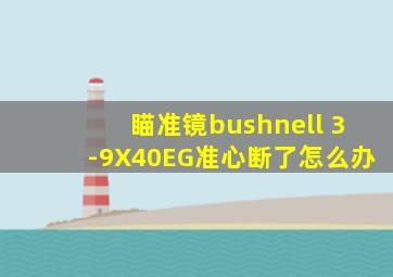 瞄准镜bushnell 3-9X40EG准心断了怎么办